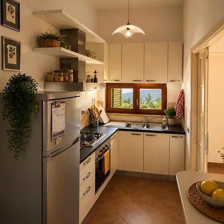 Vale Casa vacanze Casole dʼElsa